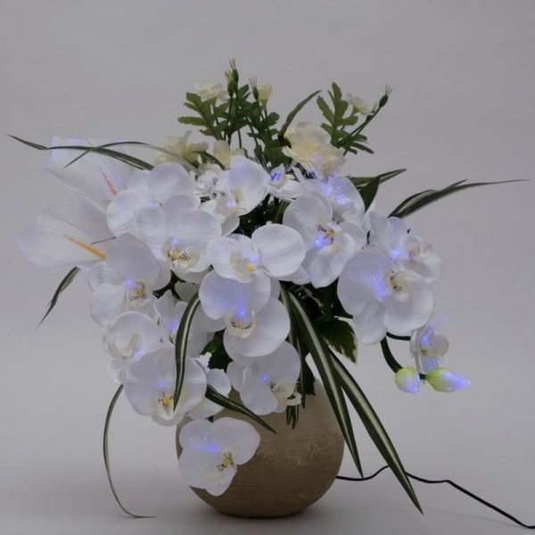 画像5: ルミナス アレンジ胡蝶蘭DX 光触媒