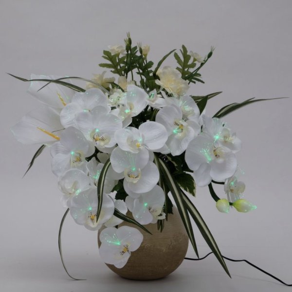 画像6: ルミナス アレンジ胡蝶蘭DX 光触媒