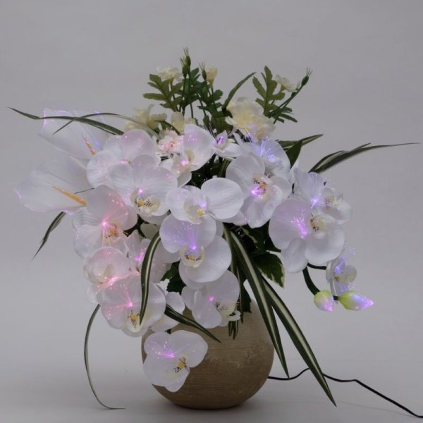 画像7: ルミナス アレンジ胡蝶蘭DX 光触媒