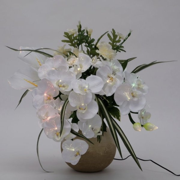 画像4: ルミナス アレンジ胡蝶蘭DX 光触媒