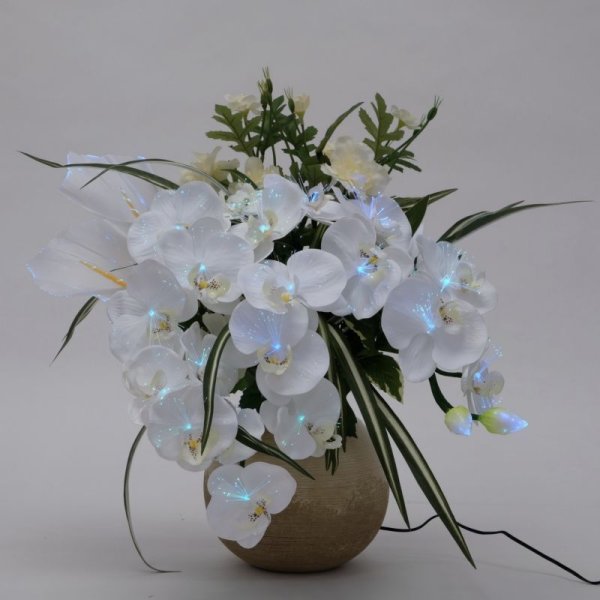 画像3: ルミナス アレンジ胡蝶蘭DX 光触媒