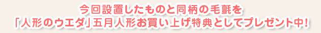 今回設置したものと同柄の毛氈を「人形のウエダ」五月人形お買い上げ特典としてプレゼント中！