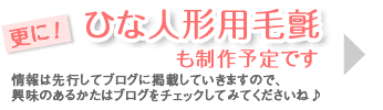 さらに！ ひな人形用毛氈も制作予定です。 情報は先行してブログに掲載していきますので、 興味のあるかたはブログをチェックしてみてくださいね♪