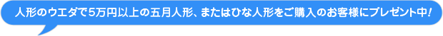 吹き出し(人形のウエダで5万円以上の五月人形、またはひな人形をご購入のお客様にプレゼント中)